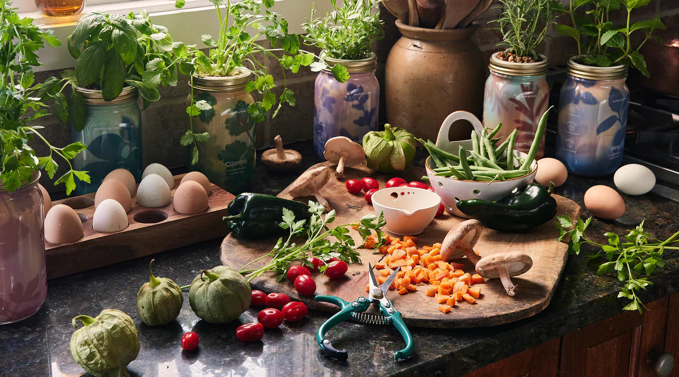Greening your living space