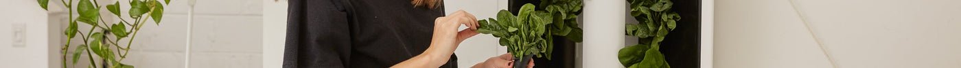 Sustainable Living Starts with Smart Indoor Growing