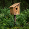 Backyard Habitats