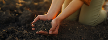 Indoor Composting Systems
