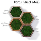 Forest green sheet moss / Gray wood