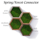 Spring/Forest connector / Gray wood