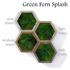 Green fern splash / Gray wood