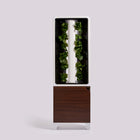 The EVE Tower Garden