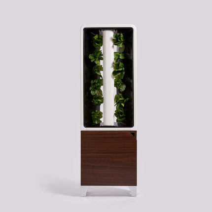 The EVE Tower Garden