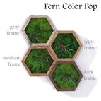 Fern color pop / Gray wood