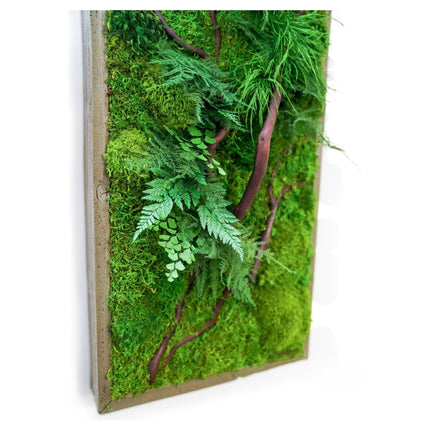 Red Bark Branch Moss & Ferns Plant Painting Handmade 12” x 24”