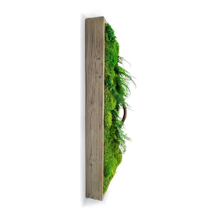 Red Bark Branch Moss & Ferns Plant Painting Handmade 12” x 24”