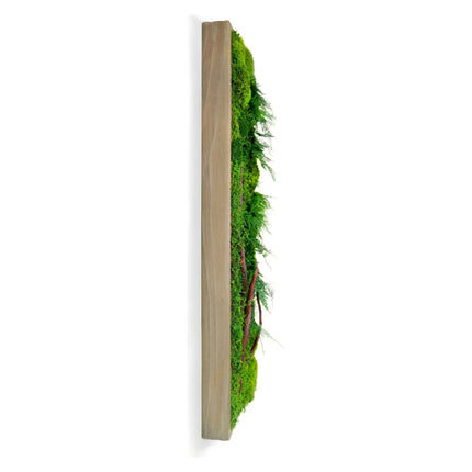 Handmade 36” x 12” Red Branch Moss & Ferns Plant Painting