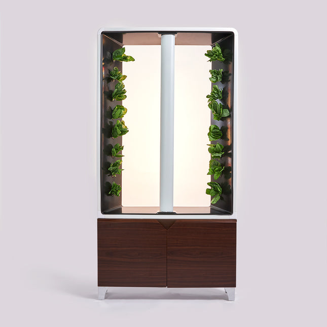The AEVA Indoor Farm