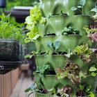 Garden Tower 2™ Move and Grow Bundle