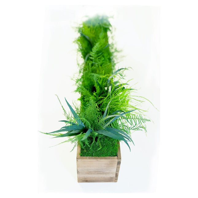 Large Rustic Wooden Planter Box with Preserved Moss and Ferns Handmade No Watering