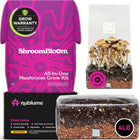All-In-One Mushroom Grow Kit (4LB) – First-Time Growers
