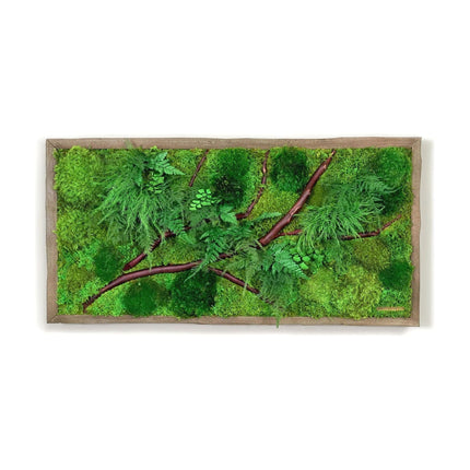 Red Bark Branch Moss & Ferns Plant Painting Handmade 12” x 24”