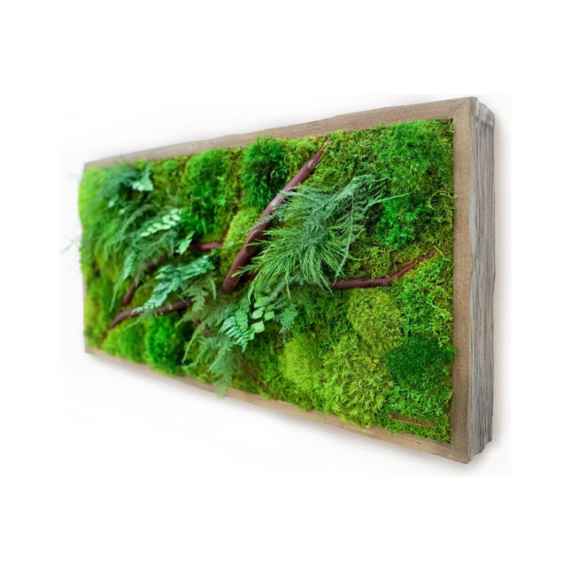Red Bark Branch Moss & Ferns Plant Painting Handmade 12” x 24”