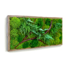 Red Bark Branch Moss & Ferns Plant Painting Handmade 12” x 24”