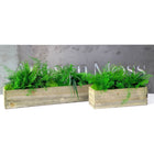 Set of 2 Wooden Planter Boxes With Preserved Moss and Ferns - No Watering