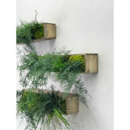 Hanging Wooden Planter with Preserved Moss and Ferns Handmade 20"