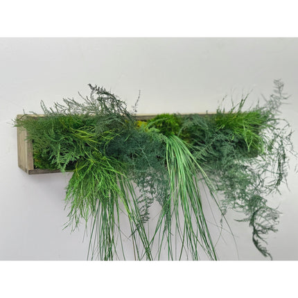 Hanging Wooden Planter with Preserved Moss and Ferns Handmade 20"