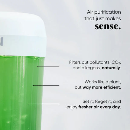 Algae Air Purifier for Home - VAYU • Fresh Oxygen • Removes Pollutants