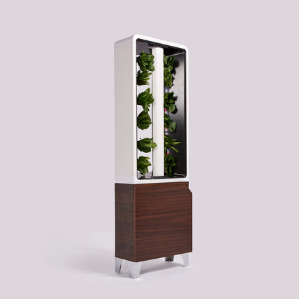 The EVE Tower Garden