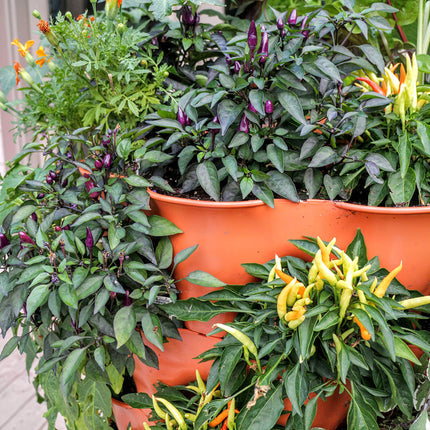 Garden Tower 2™, 50-Plant Composting Vertical Garden Planter