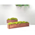 Large Metal Planter Box with Preserved Moss- No Watering