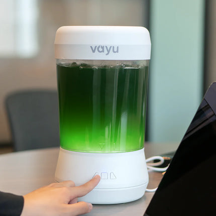 Algae Air Purifier for Home - VAYU • Fresh Oxygen • Removes Pollutants