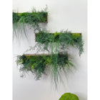 Hanging Wooden Planter with Preserved Moss and Ferns Handmade 20