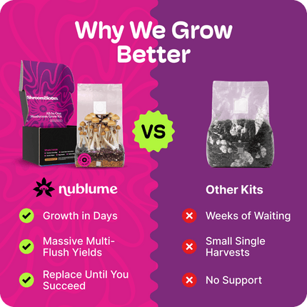 All-In-One Mushroom Grow Kit (4LB) – First-Time Growers