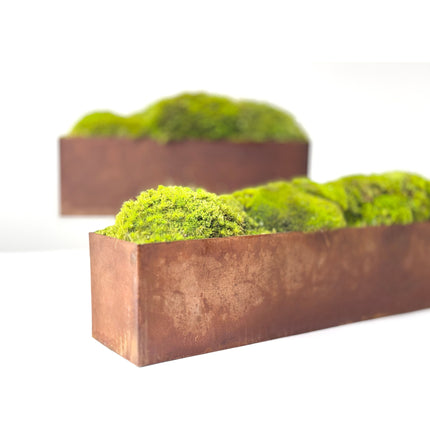 Large Metal Planter Box with Preserved Moss- No Watering