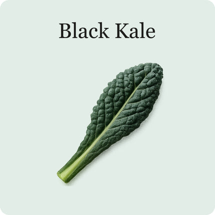 Superfood Salad Mix
