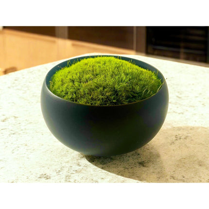 Preserved Moss in Modern Black Asymmetrical Ceramic Bowl