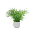 Grassy Fern / Gray