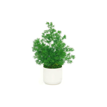 Ceramic Small Pot with Preserved Moss and Ferns Handmade, Single Pot- no water required