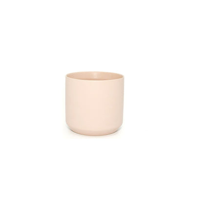 Ceramic Small Pot with Preserved Moss and Ferns Handmade, Single Pot- no water required