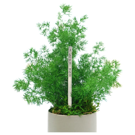 Ceramic Small Pot with Preserved Moss and Ferns Handmade, Single Pot- no water required