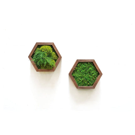 Modular Hexagons (single hex) 40 options to design your own wall
