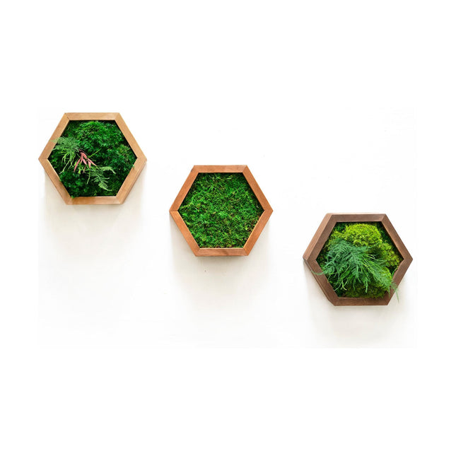 Modular Hexagons (single hex) 40 options to design your own wall