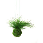 Hanging - Green String / No Gift Message