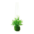 Hanging - Green String / No Gift Message