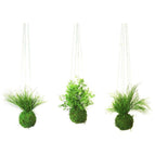 Hanging - Green String