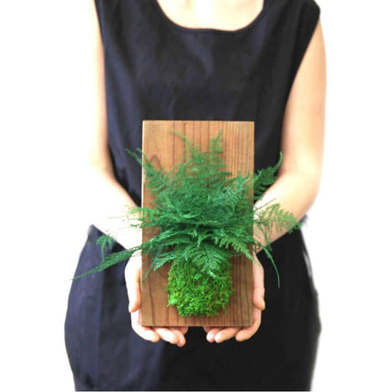 Set of 3 Fern & Moss Reclaimed Wood Flats