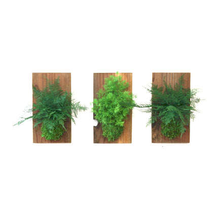 Set of 3 Fern & Moss Reclaimed Wood Flats