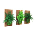 Set of 3 Fern & Moss Reclaimed Wood Flats