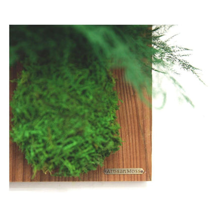 Set of 3 Fern & Moss Reclaimed Wood Flats