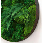 Fern & Moss Whisky Barrel Plant Painting Handmade 22”-25” Round