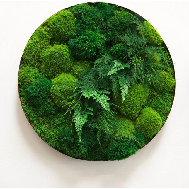 Fern & Moss Whisky Barrel Plant Painting Handmade 22”-25” Round