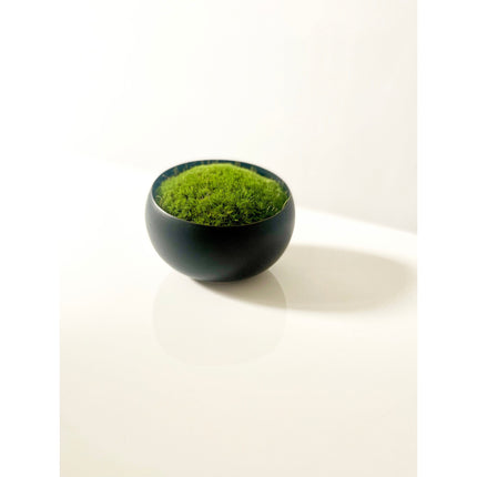 Preserved Moss in Modern Black Asymmetrical Ceramic Bowl