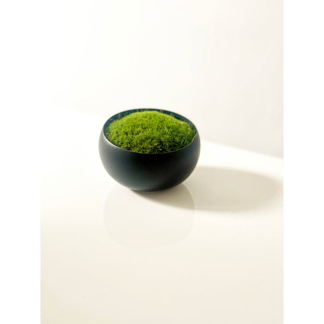 Preserved Moss in Modern Black Asymmetrical Ceramic Bowl